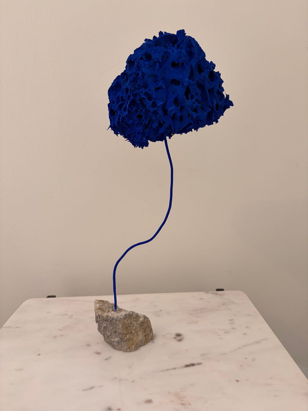 Blue Sponge