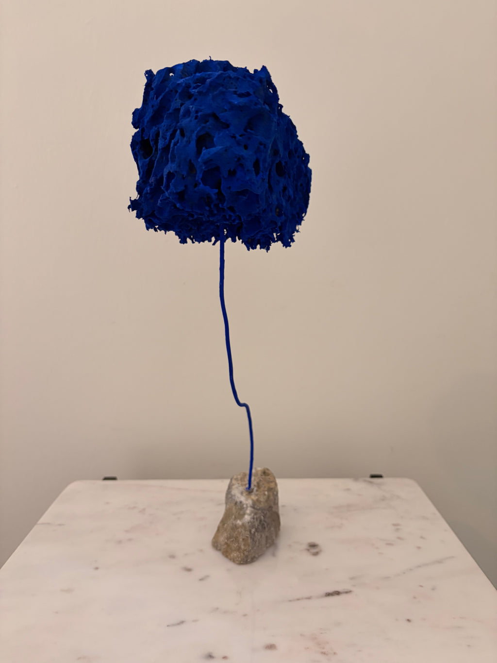 Blue Sponge