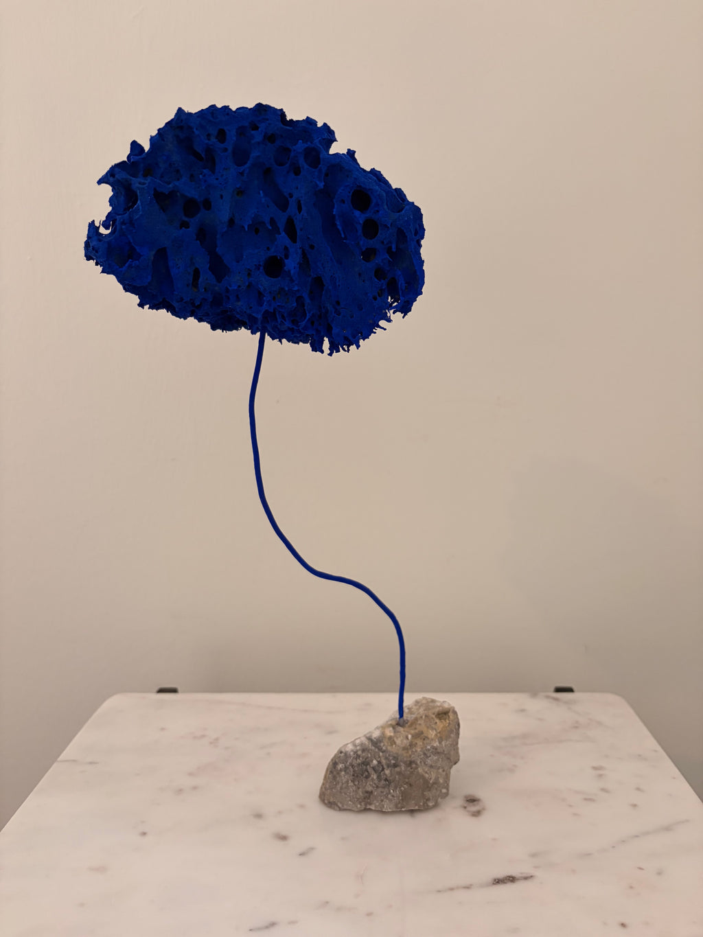 Blue Sponge